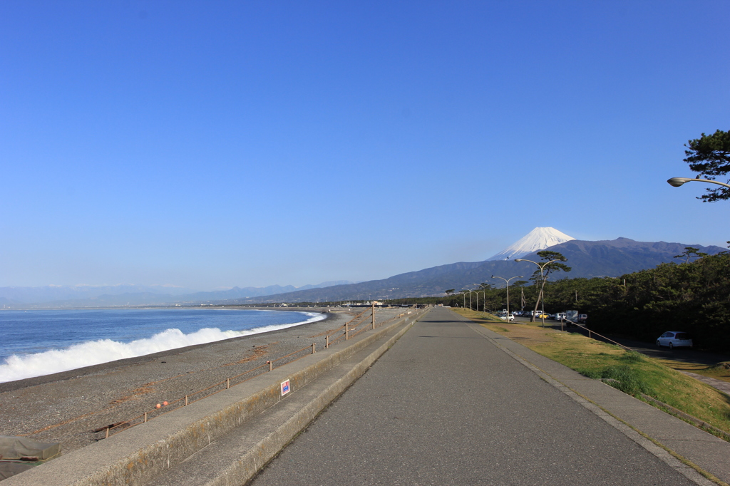 沼津の千本浜公園