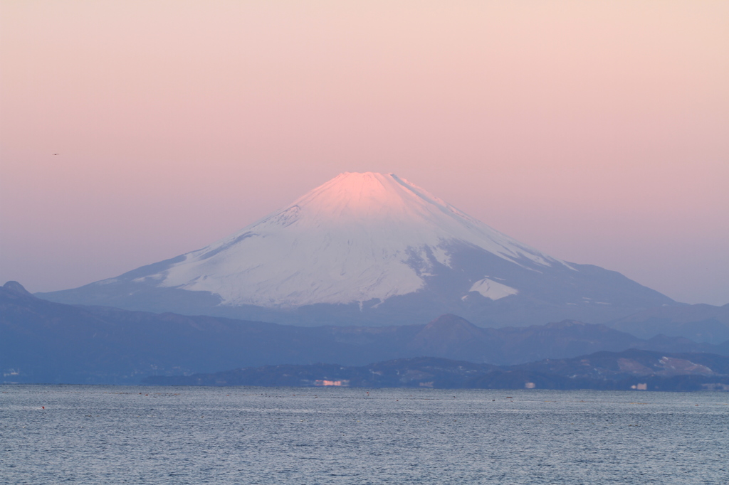 今年の初富士002