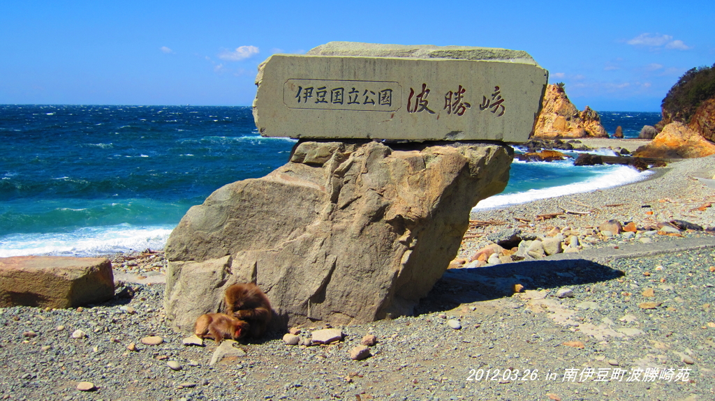 南伊豆　波勝崎（1）