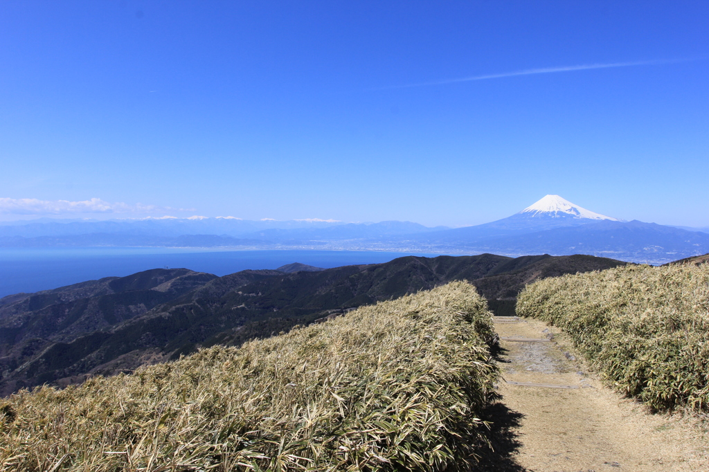 伊豆　達磨山山頂