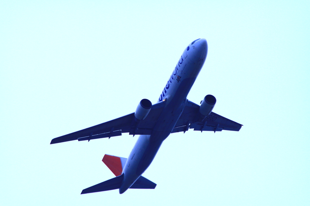 初の飛行機写真001