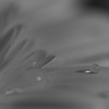 water drip