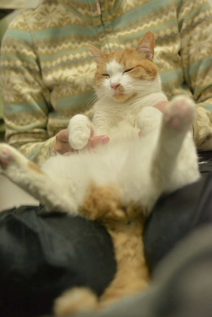 すやぁ…