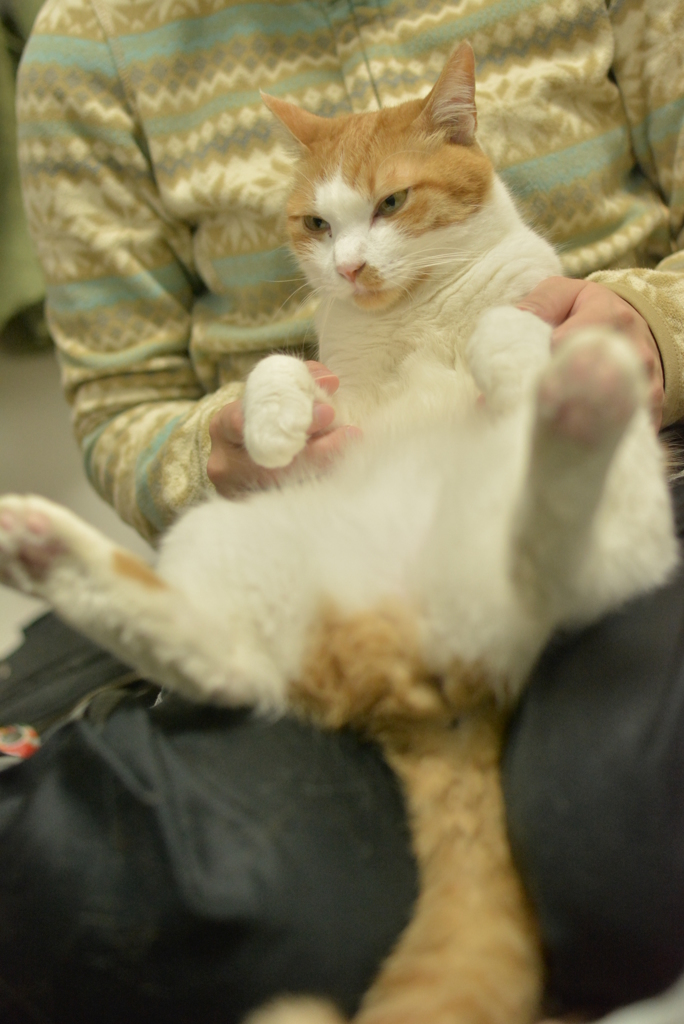 解せぬ③