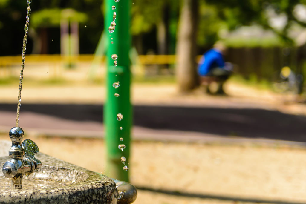 20140502-DSC_2883
