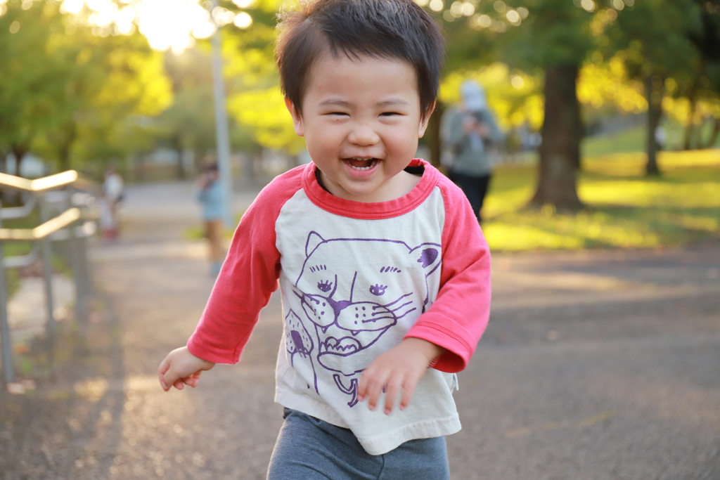 逆光でこっちに突進