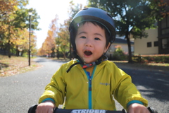 秋空のストライダー