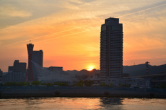 DSC_1445