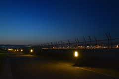 DSC_1556