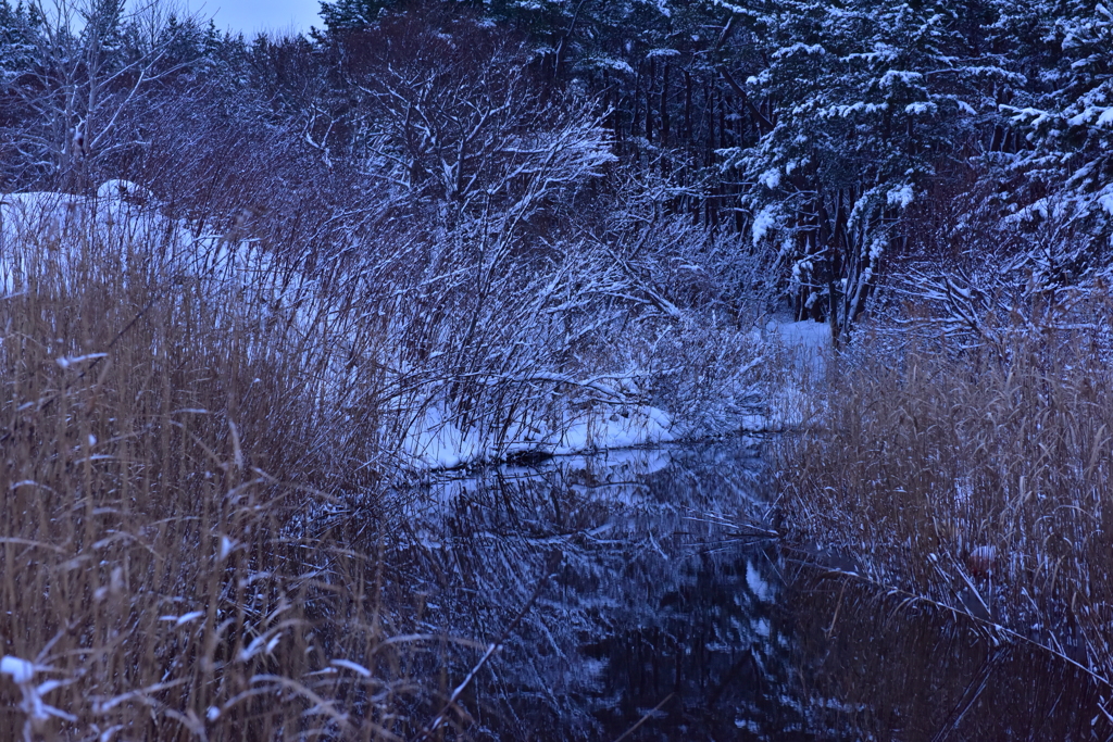 水鏡