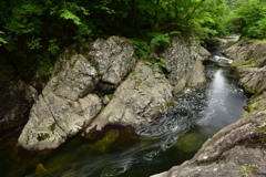 水泡の踊り