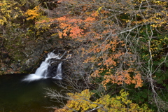 薬研渓流の秋　Ⅸ～名もなき滝～