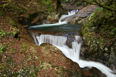 西沢渓谷秋巡り２