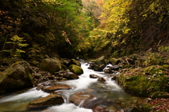 西沢渓谷秋巡り６