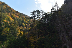 岩壁と紅葉