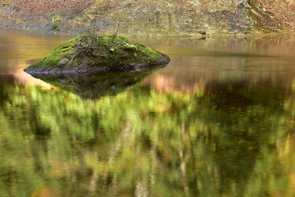 薬研渓流の秋　Ⅷ～岩場からの芽吹き　水鏡～