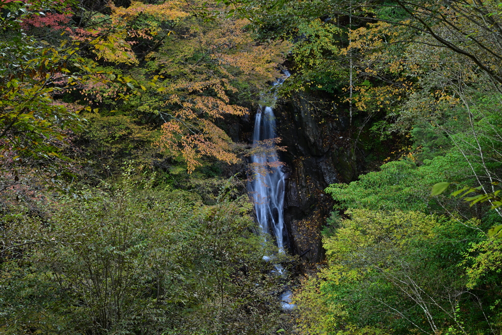 西沢渓谷秋巡り１（大久保の滝）