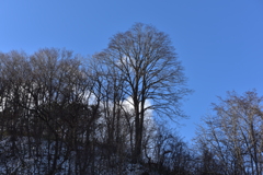久しぶりの快晴