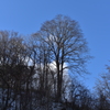 久しぶりの快晴