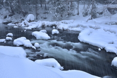 雪を搔き分けたその後には・・・