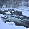 雪を搔き分けたその後には・・・