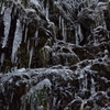 Ice labyrinth