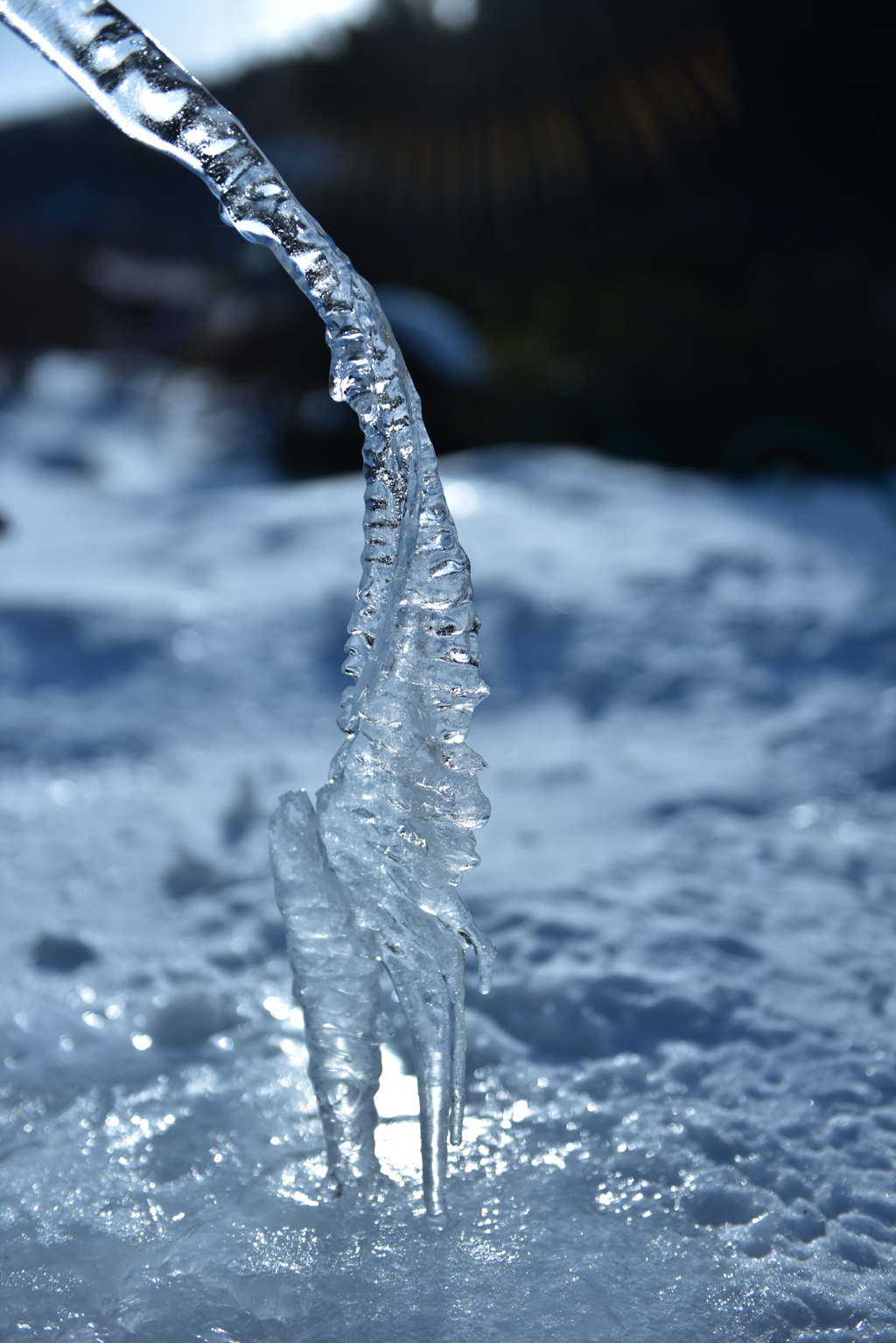 氷結