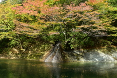 薬研渓流_滝と紅葉