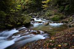 西沢渓谷秋巡り４