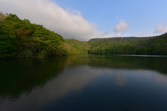 深緑の蔦沼