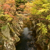 晩秋の川内渓谷