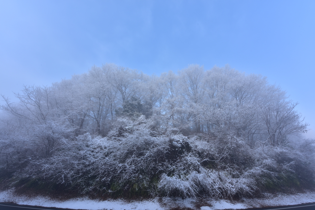 霞の雪森