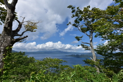 発荷峠展望台脇より