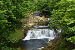 深緑の川内大滝