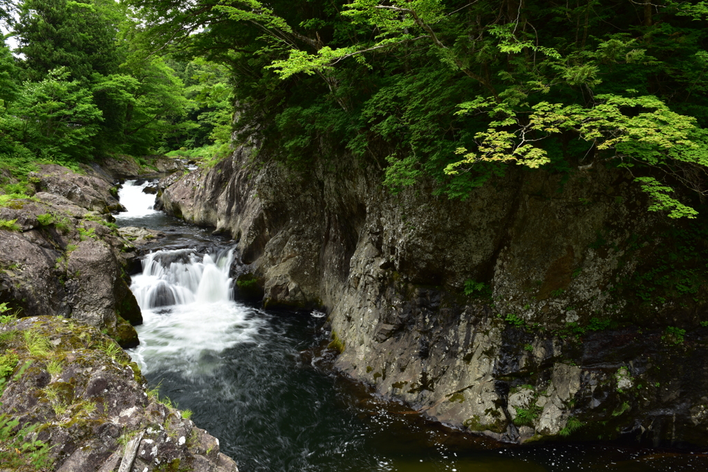 新緑の薬研大滝