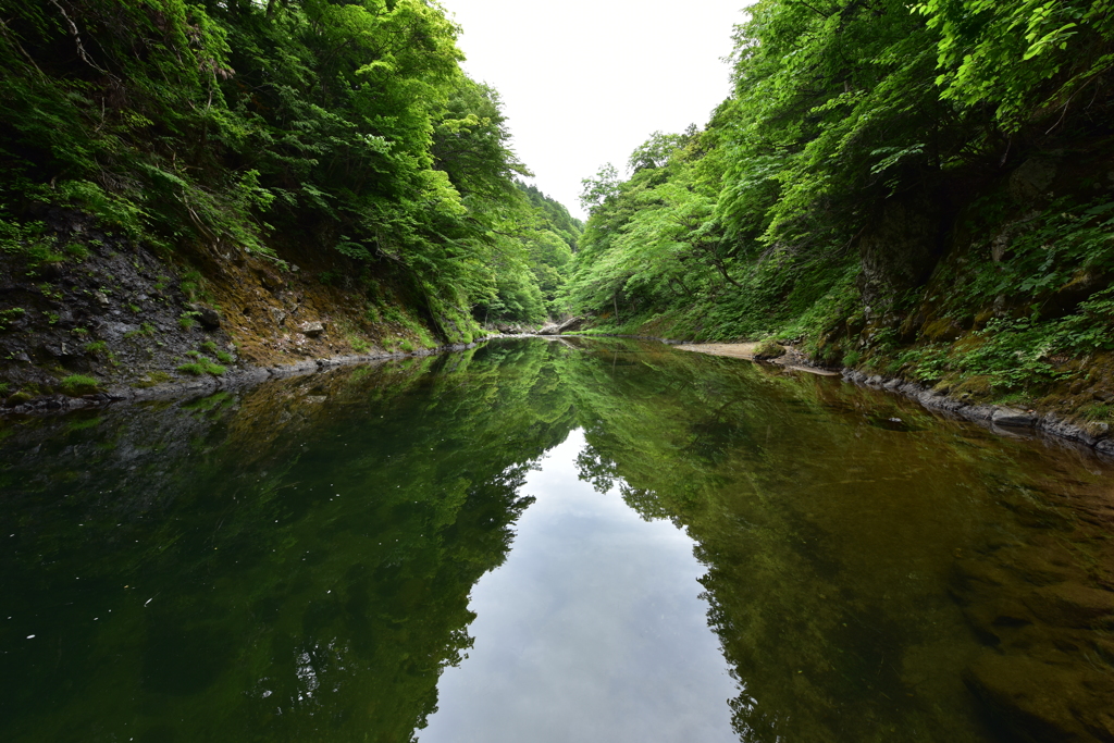 シンメトリーGREEN