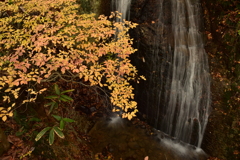 川内渓谷　滝見台