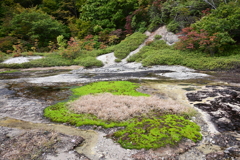 秋の気配