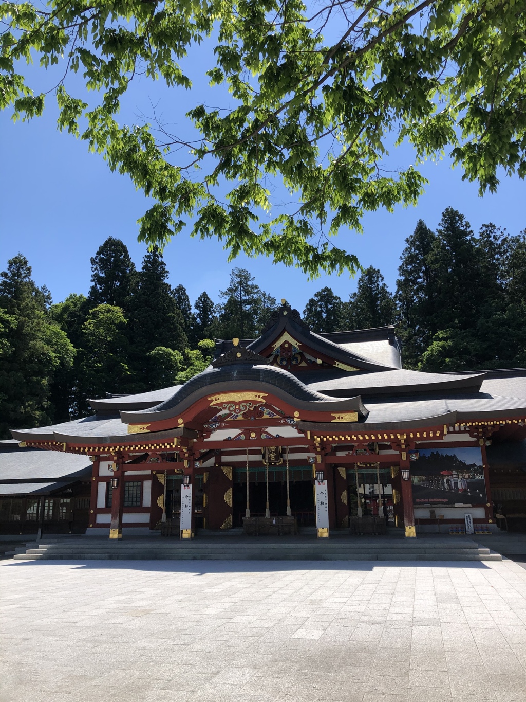 新緑の盛岡八幡宮