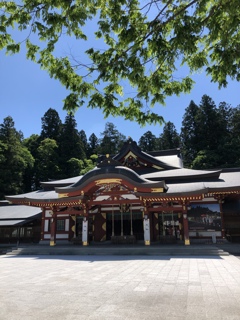 新緑の盛岡八幡宮