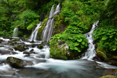 吐竜の滝 　全景