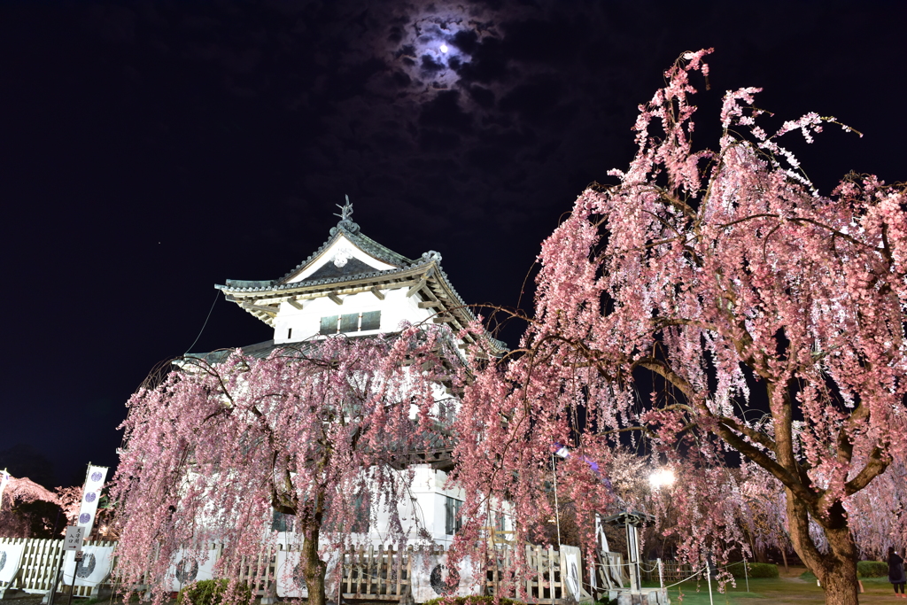 月と桜と弘前城