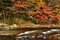 薬研渓流の秋　Ⅺ∼紅葉と白飛沫～