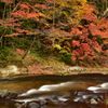 薬研渓流の秋　Ⅺ∼紅葉と白飛沫～