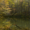 秋の月沼