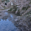 杉の大橋から