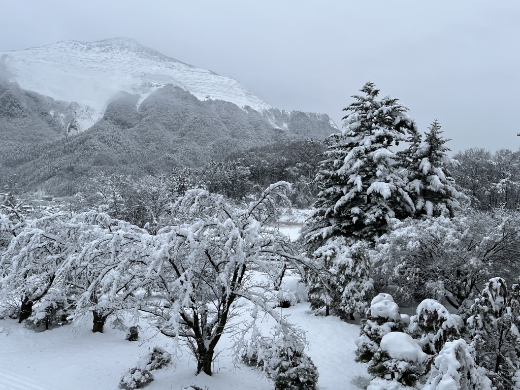 雪の武甲山