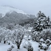 雪の武甲山