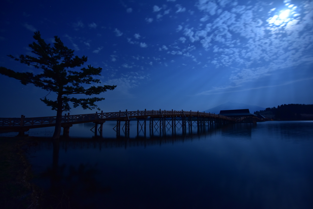 Moonlight　Shower