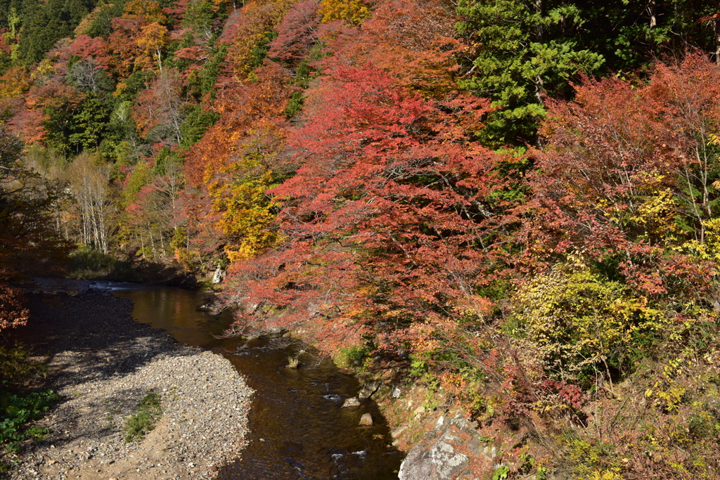 薬研渓流の秋